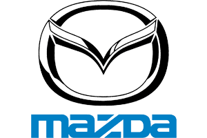 Servicio Automotriz Bustillos Clientes twelve